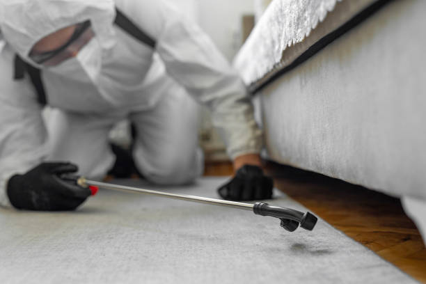 Professional Bed Bug Control technician working in Chisholm, MN